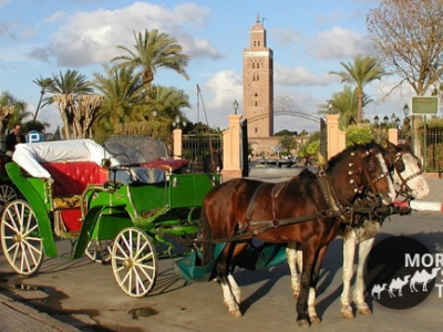 Marrakech and it 's rampart with horse and carriage