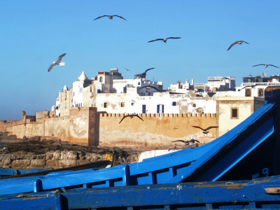 DAY TRIP FROM MARRAKECH TO ESSAOUIRA